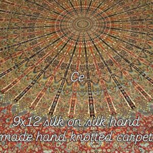9x12 Silk on Silk Hand Made Hand Knotted Carpet